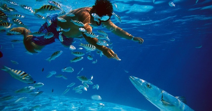 Private Cancun Snorkeling